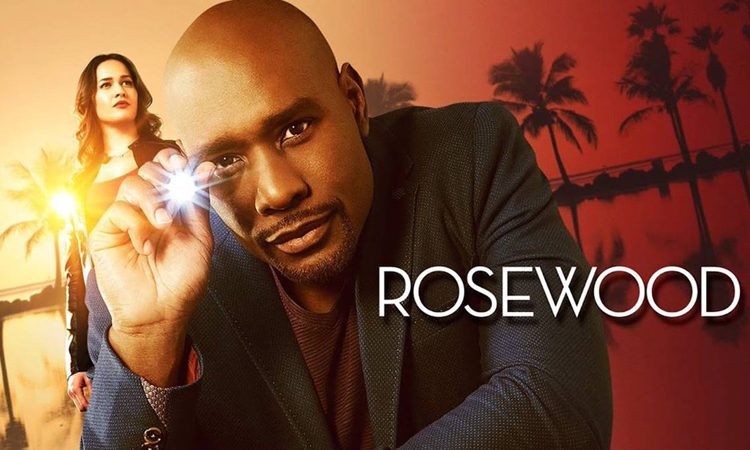 You are currently viewing [Pilote] Rosewood