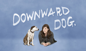 Lire la suite à propos de l’article Downward Dog : quand la star de la série est un chien !