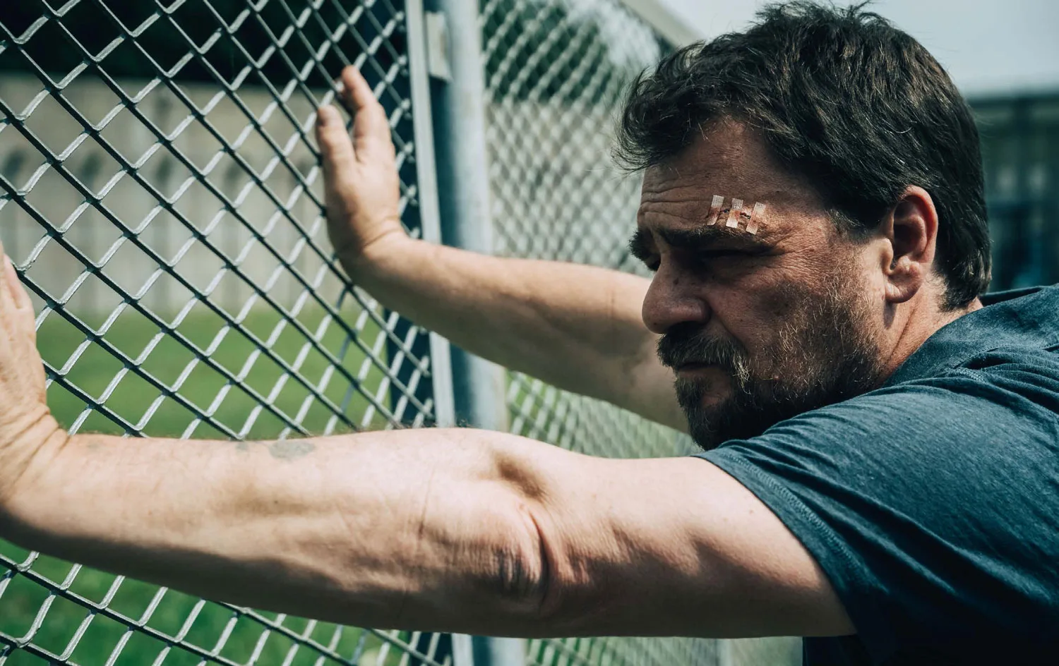 engrenages saison 8 canal +
