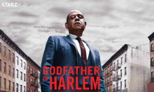 Lire la suite à propos de l’article GODFATHER OF HARLEM : Comment Bumpy Johnson règne sur Harlem ?