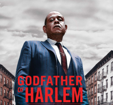 Godfather of Harlem série avis