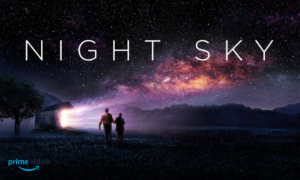 Lire la suite à propos de l’article VERS LES ETOILES (Night Sky) : un capsule vers l’espace et l’infini ?