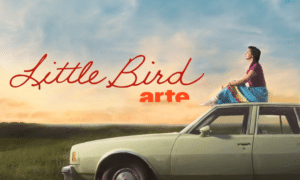 Lire la suite à propos de l’article LITTLE BIRD : retrouver le nid volé…